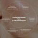 Комплекс ночного ухода для себорегуляции и коррекции высыпаний: Гель, Детокс маска, Сыворотка Hillary K-11-729 - изображение 11