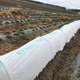 Агроволокно Agreen 50 (1,6х10) Біле 005036 - зображення 10