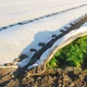Агроволокно Agreen 30 (1,6х100) біле укривне 58414 - зображення 8