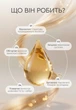 Шампунь Egg Oil – восстановление, увлажнение и блеск волос White Mandarin/Choice 250 мл - изображение 3