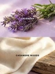 Подарунковий набір Victoria's Secret Lavender Cashmere Woods Cream Body Wash + Mist (1803/1800) - изображение 4