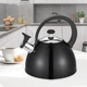 Чайник со свистком для плиты Maestro 2.5 л (MR-1302-BLACK) - изображение 3