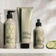 Шампунь для об’єму Contempora з маслом обліпихи і огірковим маслом Volumizing Shampoo 500 мл - изображение 3