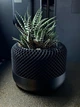 Новейший дизайн вазы для растений – в стиле Apple Homepod 00307 - изображение 9