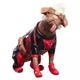Фигурка Дэдпул и Догпул Marvel Legends Series Deadpool and Wolverine Deluxe Dogpool and Deadpool Action Figure Hasbro - изображение 4
