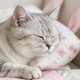 Матрас лежак для котов коврик для домашних животных мягкий охлаждающий ковер для кота Голубой - изображение 5
