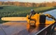 Аккумуляторная Пила DeWalt DCM775N 48V Шина 450 мм 24 м/сек 2 АКБ для сада и дома - изображение 8