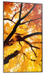 Монітор 65" Sharp MultiSync M652 (4550556130998) - зображення 2