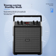 Портативная колонка PHILIPS SD50x с усилителем 40W - изображение 9