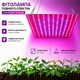 Фитолампа полного спектра 169 LED 25×25 см, для комнатных растений, или теплиц - изображение 1