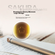 Шариковая ручка SAKURA Craft_lab 002, латунная, японская, желтая, для офиса и подписи, в коробке - изображение 10
