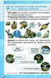 Книга Підручник. Я досліджую світ. 3 клас Частина 1 НУШ - Ірина Грущинська (Украинский язык) - изображение 2