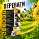 Бензиновий тример Mächtz 2500 Вт 3,4 к.с. з 4-тактним двигуном, системою Easy Start, Cruise Control, шпулею, трилопатевим ножем і 40-зубим диском - зображення 2