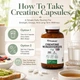 Добавка премиум-класса моногидрат креатина PRISTINE'S NSF Certified Creatine Monohydrate 300 капсул - изображение 6
