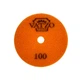 Круг алмазний полірувальний VATZO Wet КВІТКА D100x3x15 P100 (03-30100) - зображення 2