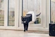 Умная дверца для котов и собак SureFlap Microchip Cat Flap Connect iDSCFWTB1 с Hub, управление через приложение без брелков чипов - изображение 2
