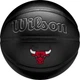 Баскетбольный мяч Wilson NBA TEAM PREMIERE CHICAGO BULLS черный Размер 7 WZ4026405XB7 - изображение 1