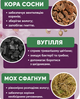 Крафтовий субстрат для орхідей 3л, ґрунт для фаленопсисів та епіфітних орхідей з мохом і деревним вугіллям,готова ґрунтосуміш - зображення 3