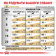Сухой корм для собак Royal Canin Urinary S/O AGEING 7+ от 7 лет для мочевых путей 1.5 кг (R448559) - изображение 7