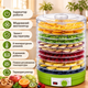 Сушилка большая XXL для овощей, фруктов и мяса на 12 секций - изображение 2