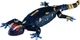 Zabawka interaktywna Revell Robo Friends Salamander 24705 (4009803247052) - obraz 7