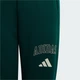 Детские джоггеры Seasonals Collegiate Typography Junior adidas KS5129 (164) зеленый (4069996402171) - изображение 3