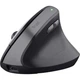 Мишка Trust Bayo 2 Ergonomic Wireless/USB-A Black (25145) - зображення 1