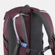 Туристический Рюкзак QUECHUA Arpenaz500 20л 45 х 25 х 15 см Бордовый - изображение 10