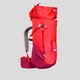 Туристический Рюкзак QUECHUA 20л 500MH 60 x 30 x 20 см с Чехлом от Дождя Красный Совместимые с Питьевой Системой - изображение 4