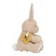 Króliczek aktywizujący Little Dutch LD8430 Newborn Naturals (8713291884304) - obraz 5