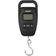 Весы Brain Fishing Scales 50kg*10g - изображение 1