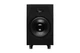 Студийный сабвуфер ADAM Audio Черный Sub12 (235753) - изображение 1