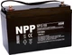 Аккумуляторная батарея NPP NP12-100 (NP12100) - изображение 1