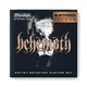 Струни для електрогітари Dunlop BEHN-1156 Behemoth Nickel Wound, 11-56 - зображення 1