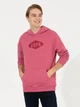 Худі чоловіче U.S. Polo Assn G081SZ082-000-1455292 XL Червоне (8682733970496) - зображення 1