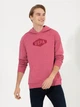 Худі чоловіче U.S. Polo Assn G081SZ082-000-1455292 XL Червоне (8682733970496) - зображення 5