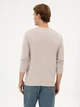 Свитшот мужской U.S. Polo Assn G081SZ082-000-2303161(Taş) 3XL Бежевый с принтом (8683859425532) - зображення 2