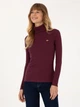 Гольф-водолазка жіноча U.S.Polo Assn G082SZ082-000-2296800 (Plum) XS Бордова (8683859341658) - зображення 3