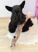 Іграшка для собак GiGwi Plush Вовк з пискавками, текстиль, 37 см (75325) - зображення 3