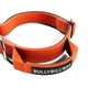 Тактичний нашийник для цуценят та міні собак BullyBillows Combat Collar Handle 2.5 cm XS-M: 25 мм, ОШ 34-46 см Помаранчевий - зображення 3