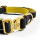 Тактичний нашийник для цуценят та міні собак з полегшеним замком BullyBillows Lighter Combat Collar Handle 2.5 cm XS-M: 25 мм, ОШ 34-46 см Жовтий - зображення 2