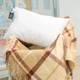 Набір бамбуковий №9543 "BIANCO" Bamboo Літо (Ковдра + подушка) 140*205+50*70 (1 шт.) - зображення 8