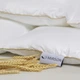Ковдра пухова касетна Raffaello White №063 90% білий пух Standart / 10% перо тік Premium 155*215 - зображення 12