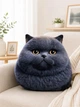 Мягкая игрушка-подушка Маленький Черный Кот антистресс 3D 39 см (t7-3286) - изображение 2