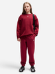 Детский теплый спортивный костюм (свитшот + штаны) для девочки Puma 68972723 122-128 см Garnet Glow (4070033459218) - изображение 1