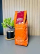 Кава в зернах Caffè Mauro De Luxe 1 кг - зображення 2