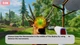 Ключ активации Sophia’s Animal Clinic – Mission Wildlife Park для Xbox One/Series S/X - изображение 8