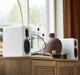 Акустическая система Argon Audio Forte A5 WiFi White - изображение 5