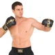 Перчатки боксерские тренировочные на липучке Zelart Fight Gear 7519 размер 10 унций Black-Gold - изображение 7