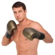 Перчатки боксерские кожаные тренировочные на липучке Fistrage Fight Gear 6480 размер 12 унций Black-Bronze - изображение 6